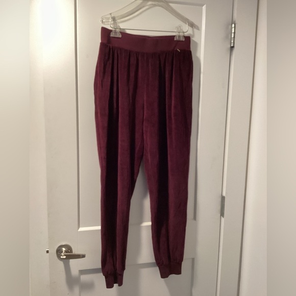 Nwot Abound Burgundy Velour Joggers with Pockets size Medium - Picture 1 of 4